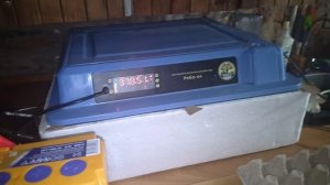 инкубатор ряба 64. регулировка влажности в инкубаторе. контроль температуры.  и доступа кислорода .