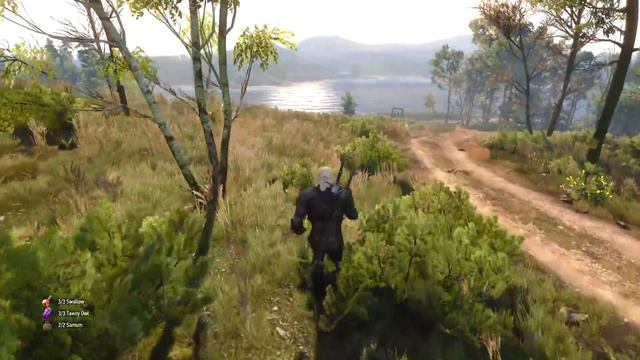 THE WITCHER 3: Wild Hunt #12 смотреть онлайн