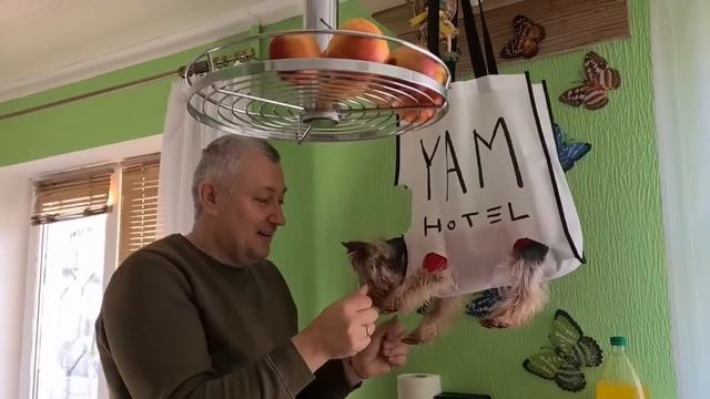 Запорожье. 21. 01. 2023 Мы это сделали ? смотреть онлайн