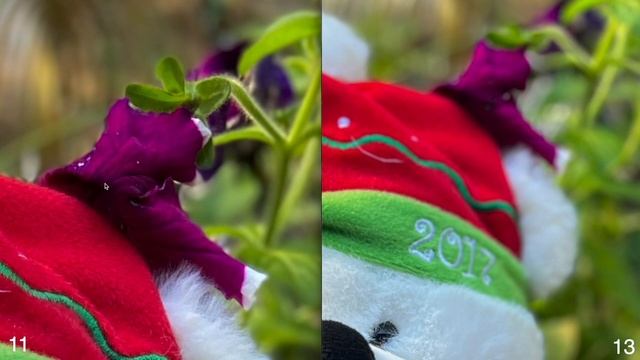 IPhone 13 Vs IPhone 11 Camera Comparison!