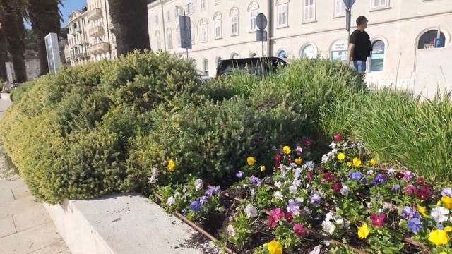 Split, Croatia - DJI Pocket 3 camera testing смотреть онлайн