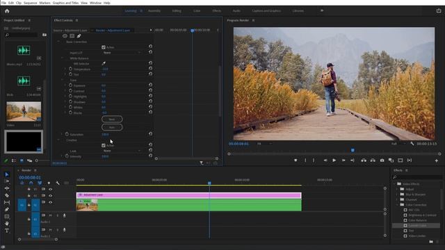 Make Your Videos LOOK CINEMATIC in Premiere Pro (Hindi) смотреть онлайн
