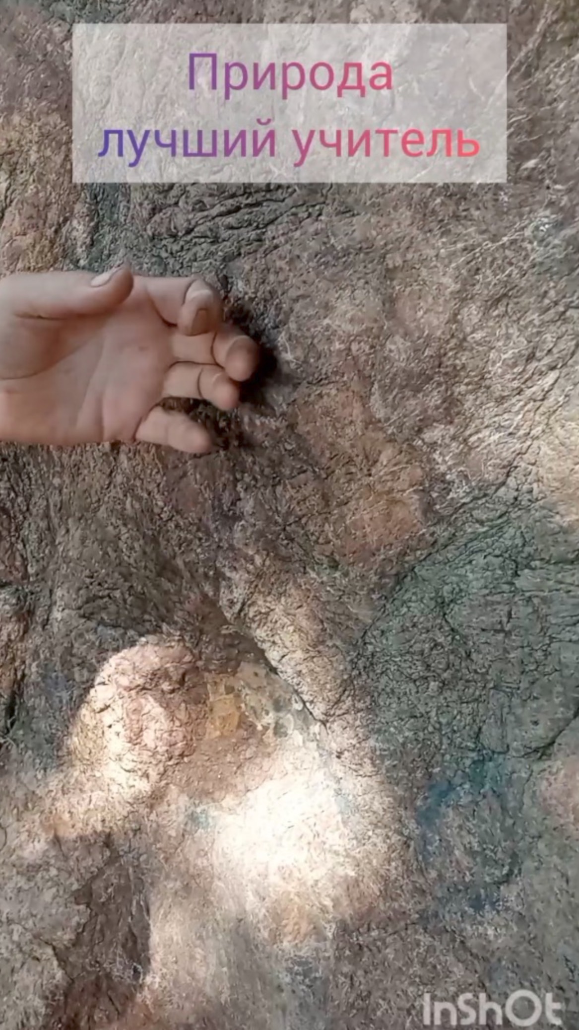 Ну и где мирный сон?