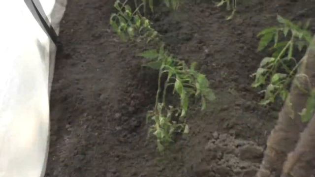 Строительные Палитры