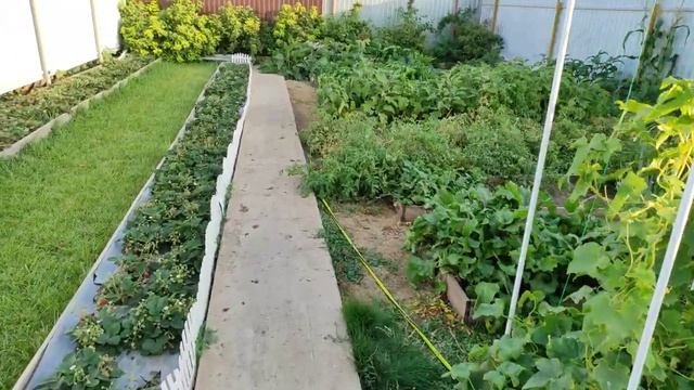 Мой дворик 2021.mp4 смотреть онлайн