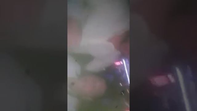 14 July 2019 смотреть онлайн