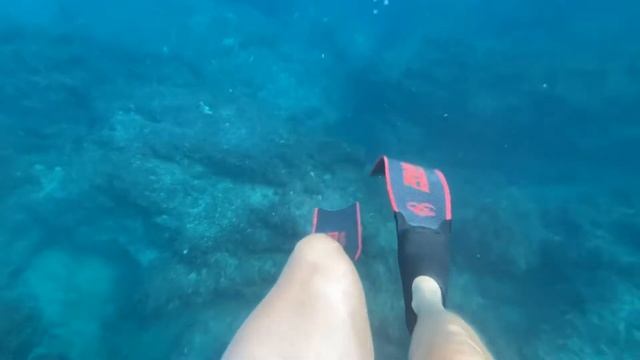 Дайвинг в Нетания. Diving In Netanya
