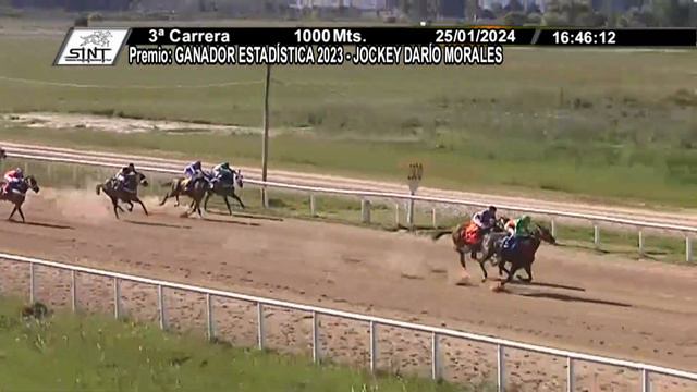25/01/2024 – Hipodromo Melo – Carr 3 – GANADOR ESTADÍSTICA 2023 - JOCKEY DARÍO MORALES смотреть онлайн