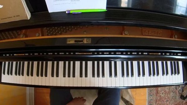 Michael Weiss - Piano Technique: Tone & Economy of Motion