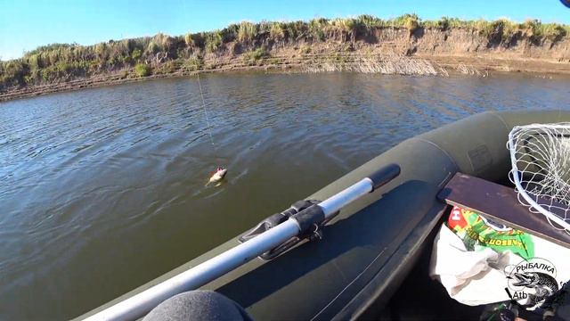 ВЫЕХАЛ НА 2 ЧАСА НА РЫБАЛКУ смотреть онлайн