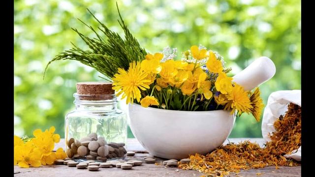 КАЛЕНДУЛА лечебные свойства и противопоказания