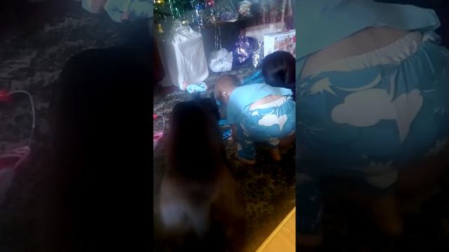 Подарили собаке игрушку смотреть онлайн