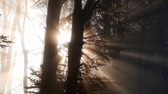 Mood,calm,calmness,deep,sleep,meditation,Настроение,спокойствие, Релаксация,Relaxation,Релакс,Relax