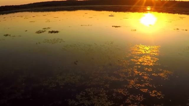 Красный Бор. Озеро Страдное. Krasny Bor. Stradnoe lake. смотреть онлайн