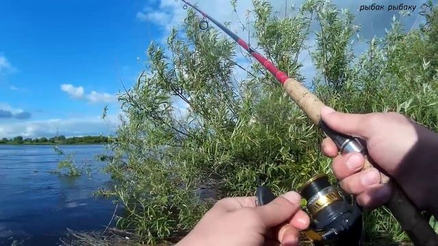 Спиннинг! Советск Калининградская Область около Кумы! смотреть онлайн
