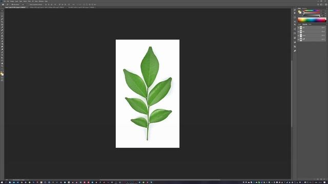 Photoshop — Дизайн рекламной листовки с зубной пастой. Рабочий процесс 7 смотреть онлайн