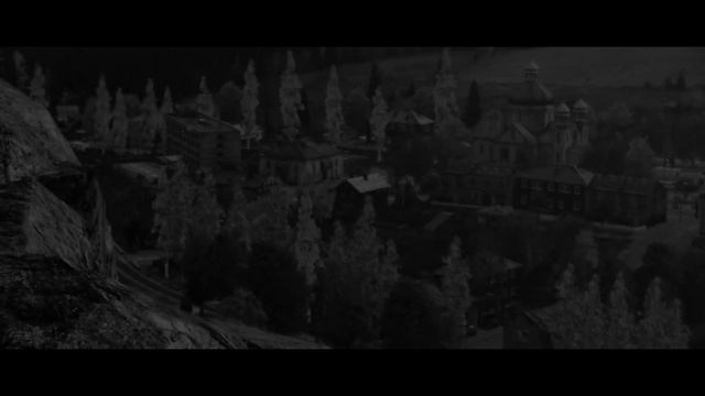 Forestdump - город. (видео ряд)