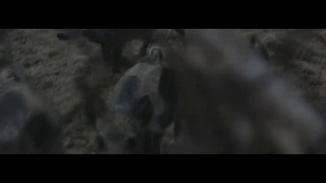 Country Adventures | Выходные на даче [part 1]