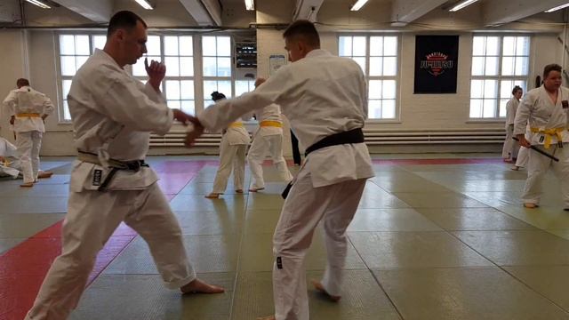 Hokutoryu Ju-Jutsu training in main Dojo. 2nd part смотреть онлайн