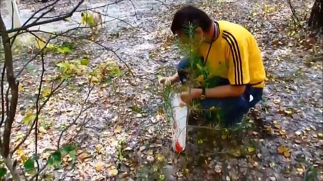 Поход на Гранное ухо ( на жестовом языке) смотреть онлайн