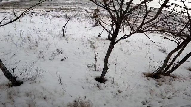 Охота на уверенного зайца 2023 Овраги смотреть онлайн