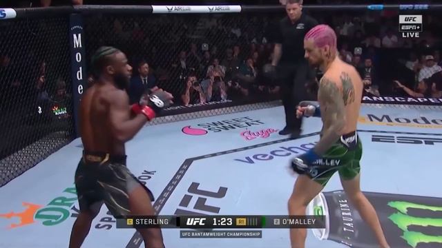 Sean O'Malley Vs Aljamain Sterling Full Fight UFC 292 - MMA Fighter
