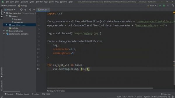 Face detection in python with opencv ( Haarcascades)