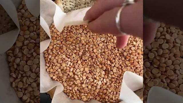 Наука о Здоровье и Жизни