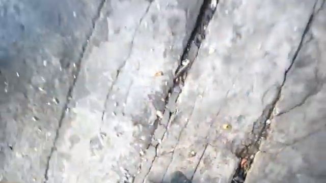 Воробьи все ПОДСОЛНУХИ склевали смотреть онлайн