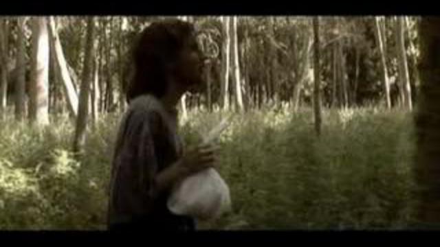 Ежик в тумане - 2 (видеоверсия) смотреть онлайн