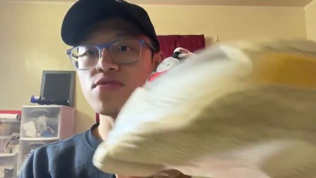 My favorite Balenciaga Triple S colorway ! смотреть онлайн