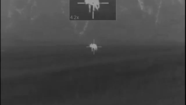 Coyote hunt Pulsar XQ38 смотреть онлайн