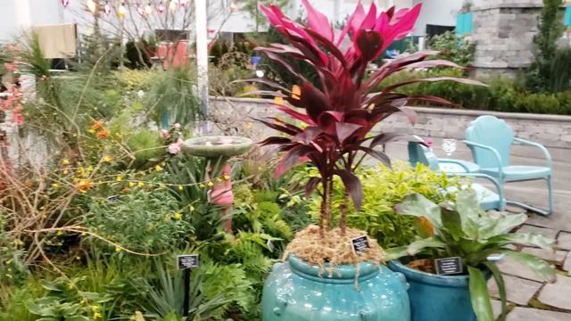 Virginia Flower And Garden Expo - 2020 NBG Display