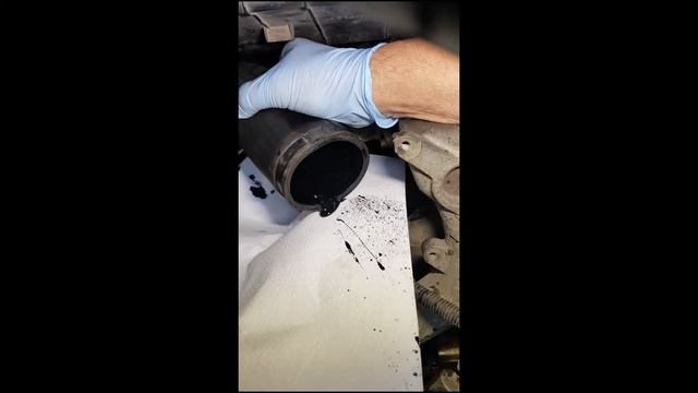 Humo blanco en Mercedes Sprinter, resultado de tener el turbo roto смотреть онлайн