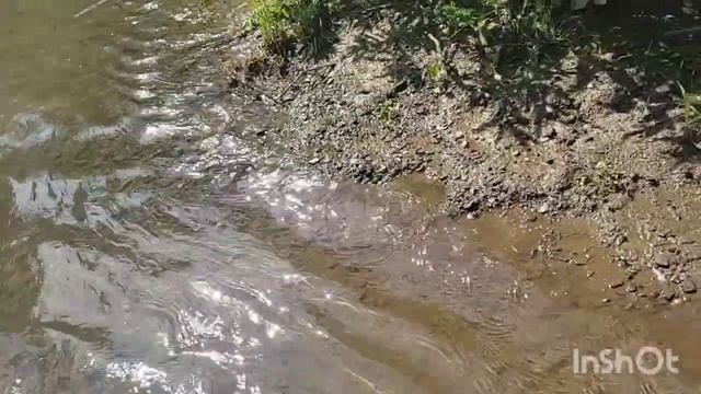 варим сгущенку на заказ и не только. смотреть онлайн