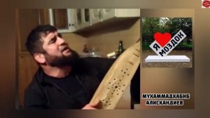 Мухаммадхабиб Алискандиев "Моздок"