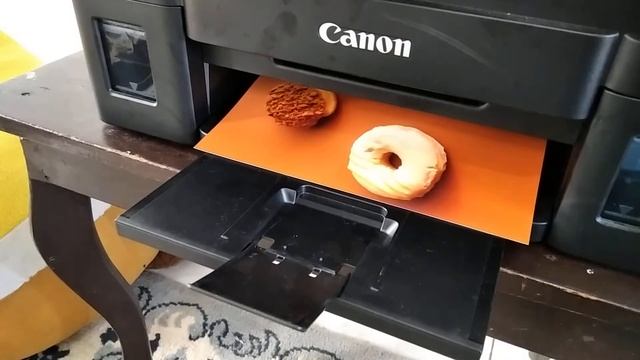 Canon G2010 & Silky Photo Paper