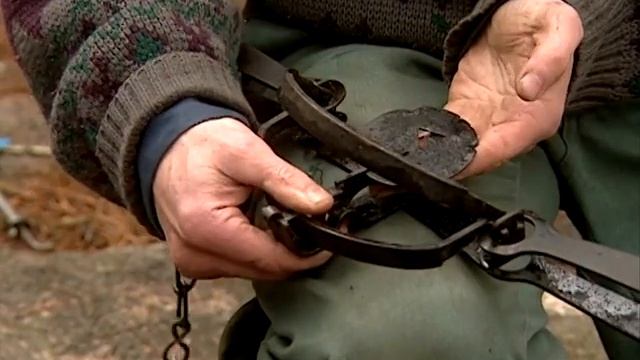 2. Безопасная эксплуатация ловушек (Eng) смотреть онлайн