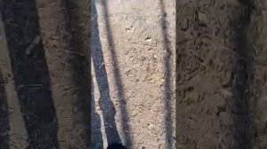 скрытые кадры из... из чего?... о нет... Дядя Сережа ?? НЕЕЕЕЕТ! GOOP GOOP GOOP GOOP