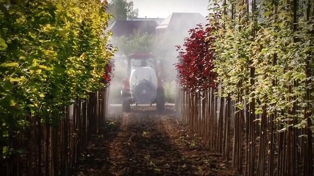 Агрофирма "Современный декоративный питомник". смотреть онлайн