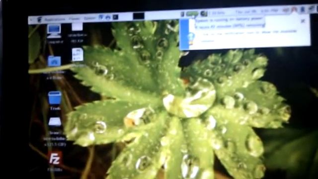 Debian Lenny On EEE Pc Asus 1000 HE