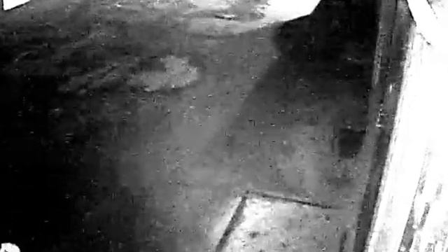 Разбили камеры видеонаблюдения смотреть онлайн