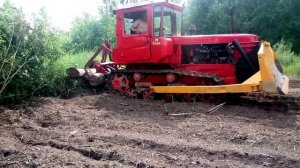 ДТ 75 с болотной фрезой ФБН 1, 5 красота как шпарит