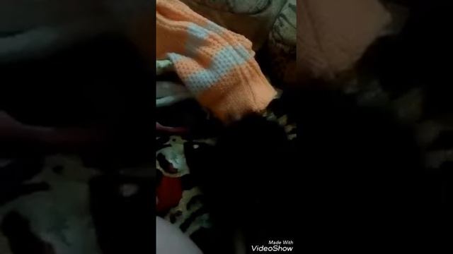 Утро девочек смотреть онлайн