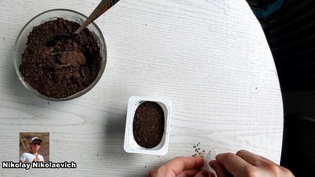 Вторая жизнь пластикового стаканчика из под йогурта. (The second life of a plastic cup of yogurt) смотреть онлайн