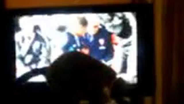 KOSHKA smotrit peredachu,,v mire jivotnix" II seria смотреть онлайн