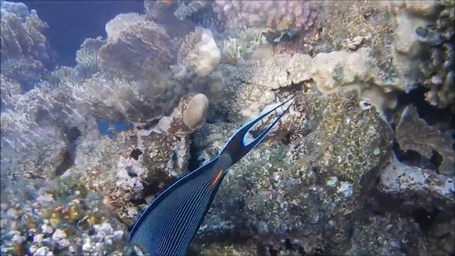 Nikon Coolpix AW120 Test Footage смотреть онлайн