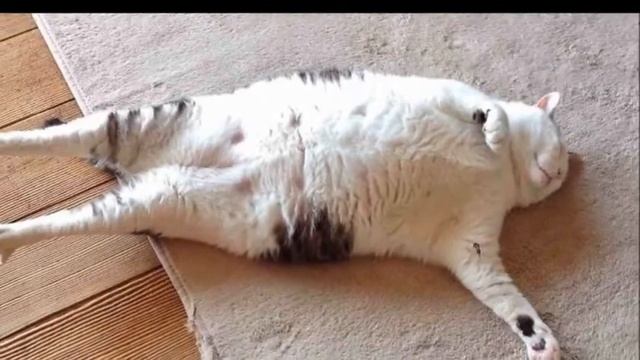 ?? КОЛЫБЕЛЬНАЯ ?? смотреть онлайн