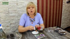 Выращивание ГЛОКСИНИИ из семян! Способ ПОСЕВА! Советы от ЗЕЛЕНОГО ОГОРОДА!