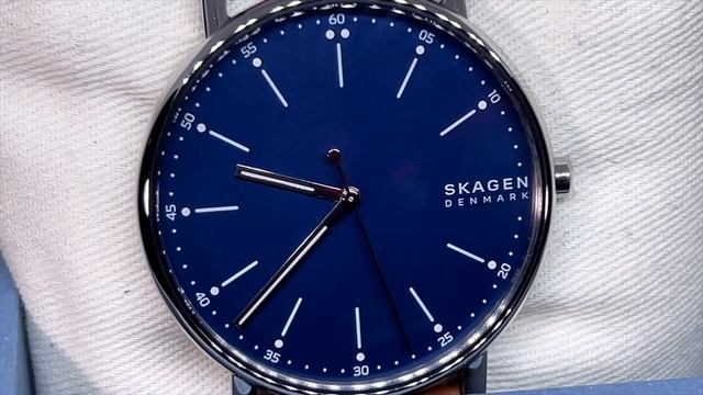SHOULD YOU GET A SKAGEN? (WHAT IS A SKAGEN?...) смотреть онлайн